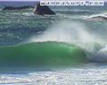 photo de surf